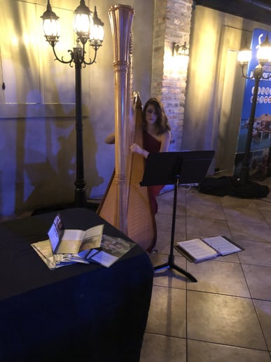 Gallery photo 4 of Harpist for all Occasions
