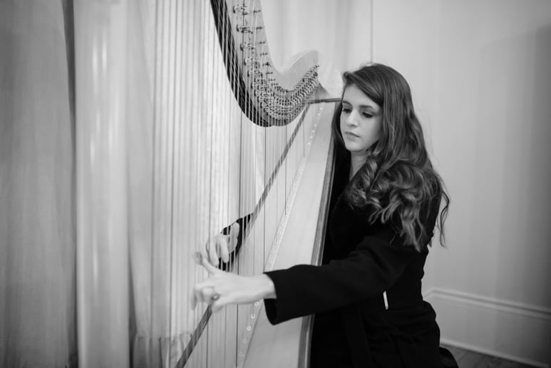 Gallery photo 7 of Harpist for all Occasions