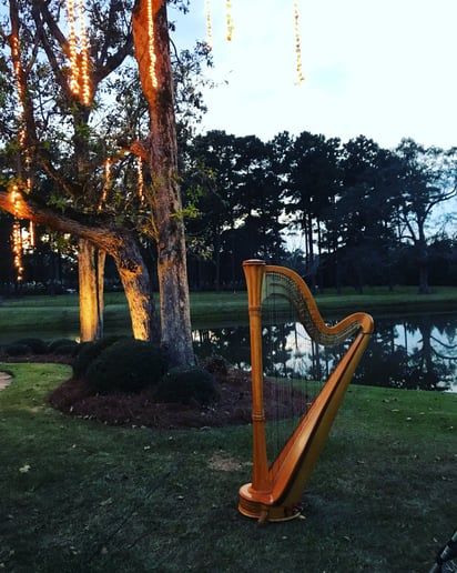 Gallery photo 8 of Harpist for all Occasions