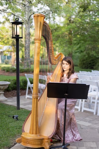 Gallery photo 9 of Harpist for all Occasions