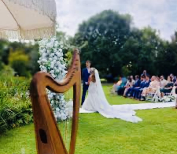 Gallery photo 3 of Mary Mei, Harpist for Events