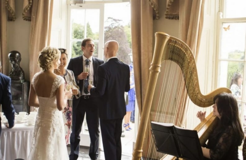 Gallery photo 4 of Mary Mei, Harpist for Events