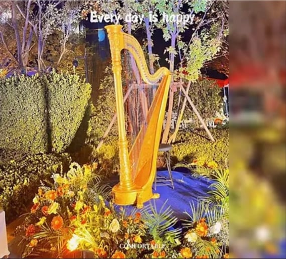 Gallery photo 9 of Mary Mei, Harpist for Events