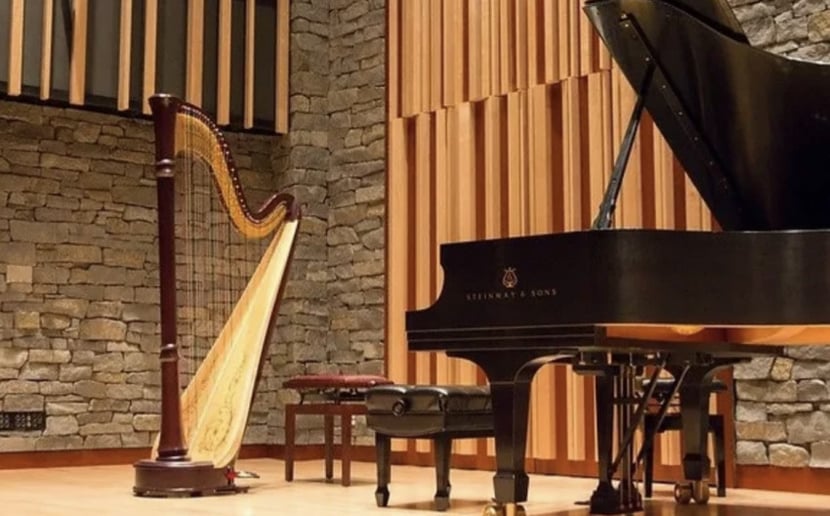 Gallery photo 10 of Mary Mei, Harpist for Events