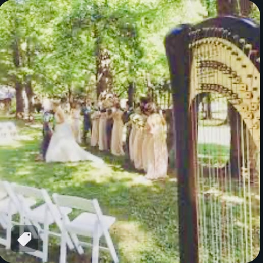 Gallery photo 7 of Mary Mei, Harpist for Events