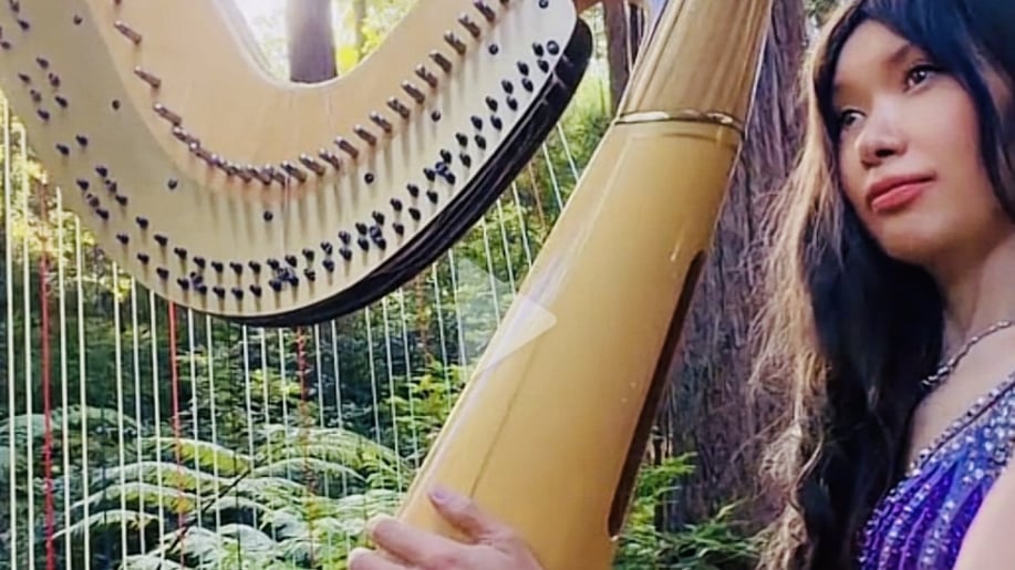 Gallery photo 2 of Mary Mei, Harpist for Events