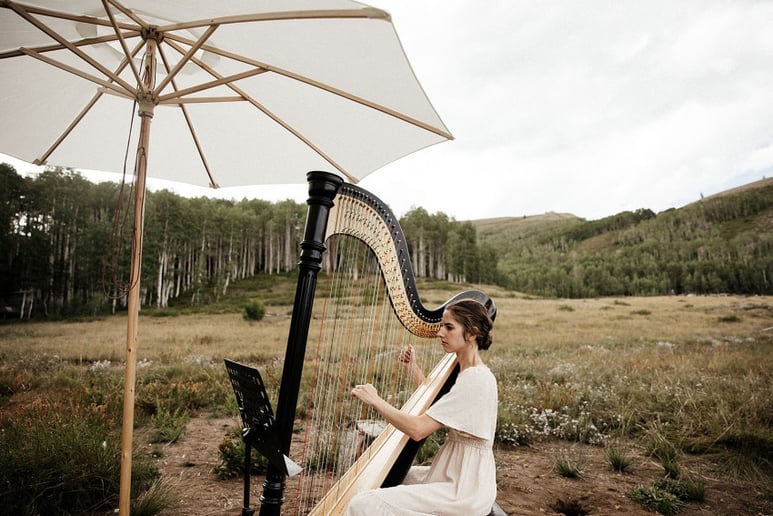 Gallery photo 9 of Bridget Jackson Harp LLC