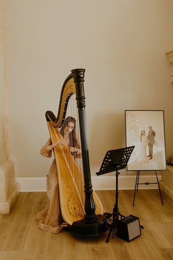 Gallery photo 1 of Bridget Jackson Harp LLC