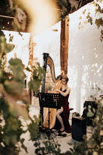 Gallery photo 8 of Bridget Jackson Harp LLC