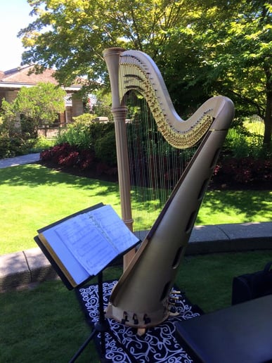 Gallery photo 2 of Harpist for Hire