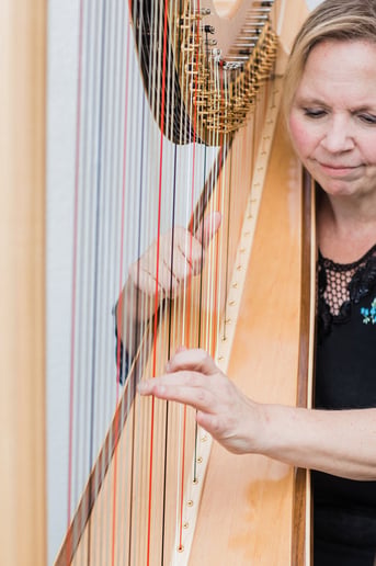 Gallery photo 7 of Harpist for Hire