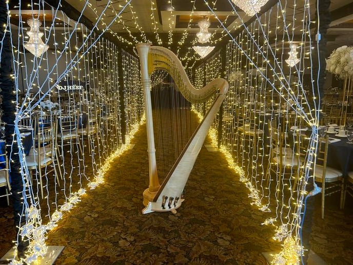 Gallery photo 9 of Harpist for Hire