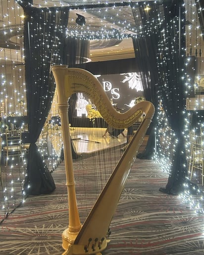 Gallery photo 10 of Harpist for Hire