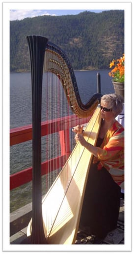 Gallery photo 3 of Harpist for Special Occasions