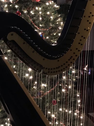 Gallery photo 4 of Harpist for Special Occasions