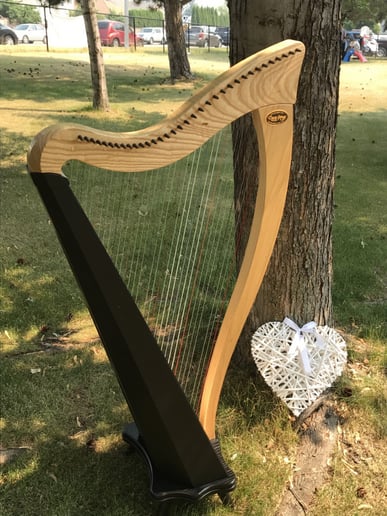 Gallery photo 2 of Harpist for Special Occasions