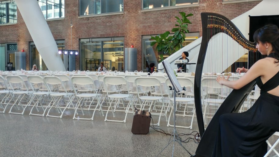 Gallery photo 9 of Harpist Gracelyn