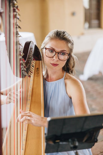 Gallery photo 8 of Harpist Karina