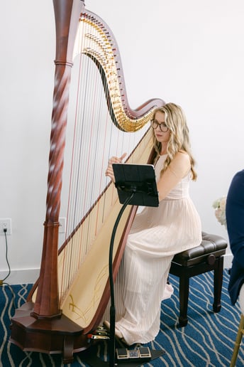 Gallery photo 10 of Harpist Karina