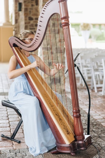 Gallery photo 12 of Harpist Karina
