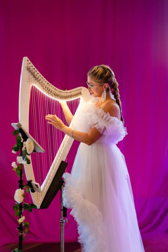 Gallery photo 5 of Harpist Karina