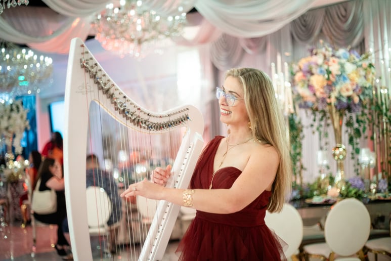 Gallery photo 3 of Harpist Karina