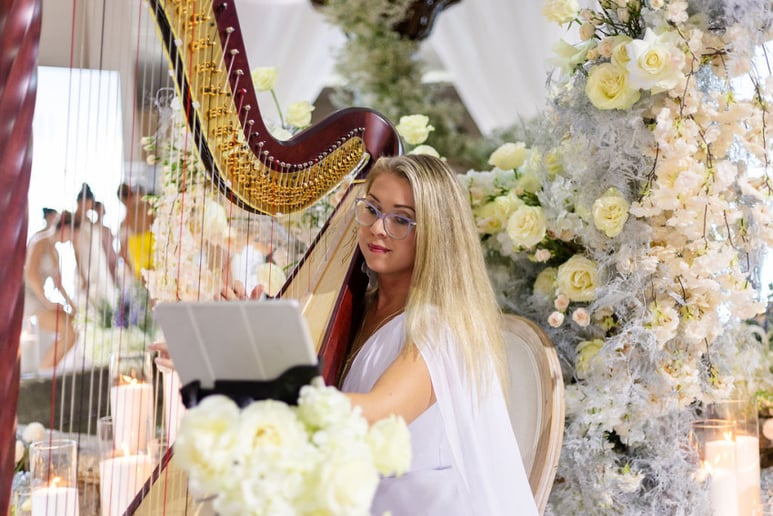 Gallery photo 2 of Harpist Karina