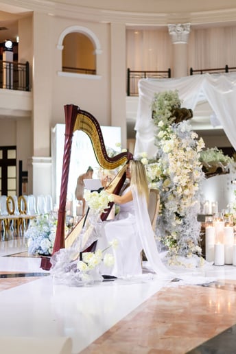 Gallery photo 9 of Harpist Karina