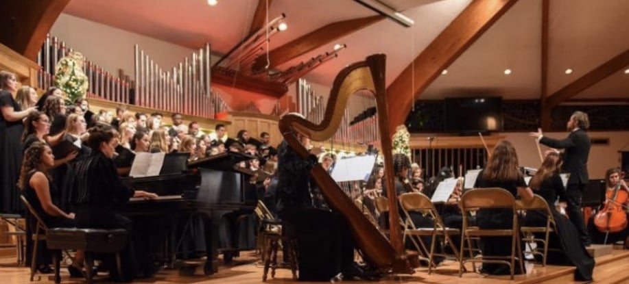 Gallery photo 1 of Harpist Laura Hoffman