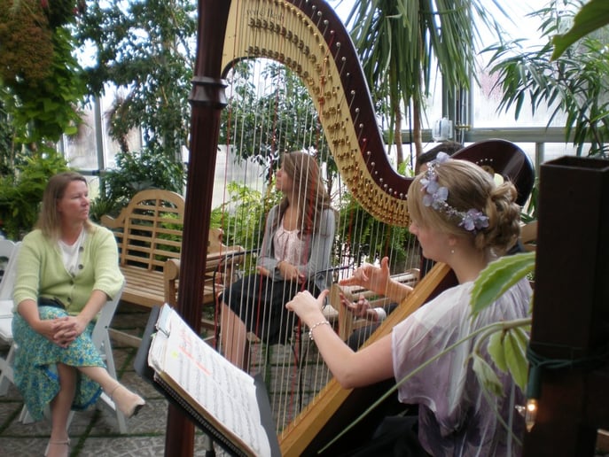 Gallery photo 3 of Harpist Laura Neil