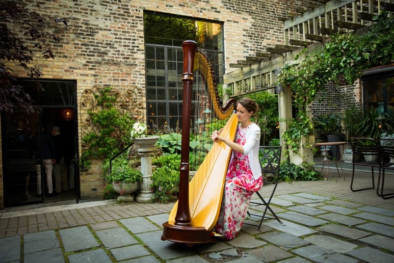 Gallery photo 7 of Harpist LeAnne Bennion