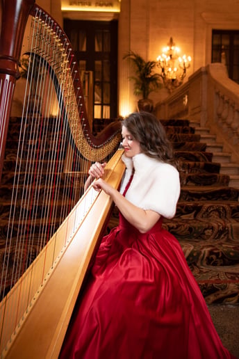 Gallery photo 4 of Harpist LeAnne Bennion
