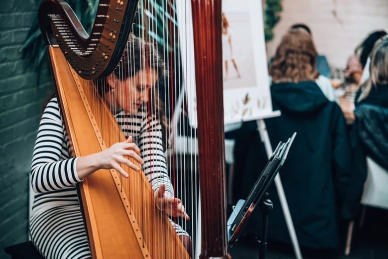 Gallery photo 9 of Harpist LeAnne Bennion