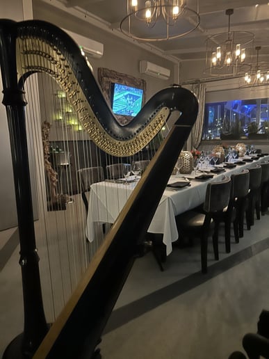 Gallery photo 2 of Harpist Lisa
