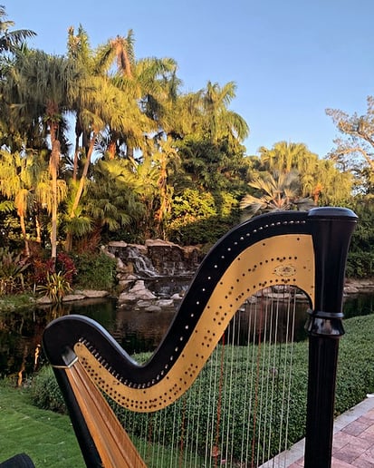 Gallery photo 3 of Harpist Lisa