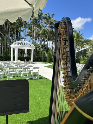 Gallery photo 4 of Harpist Lisa