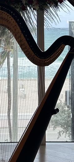 Gallery photo 5 of Harpist Lisa