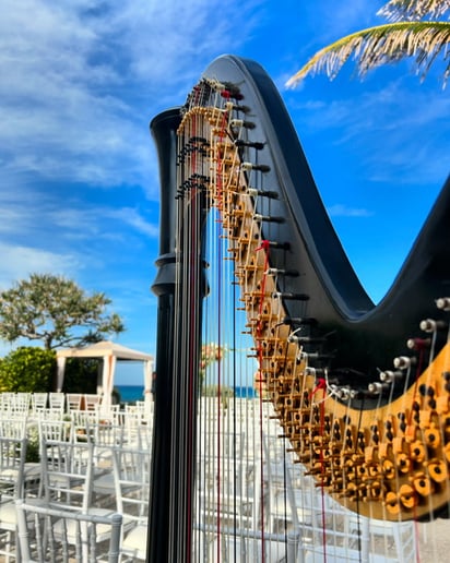 Gallery photo 6 of Harpist Lisa