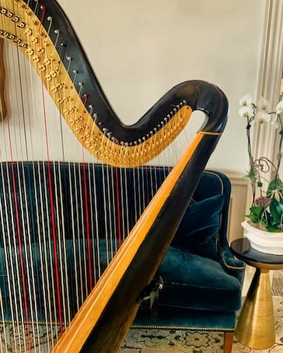 Gallery photo 7 of Harpist Lisa