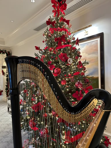 Gallery photo 8 of Harpist Lisa
