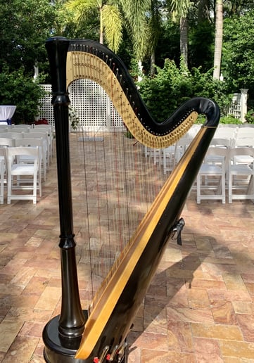 Gallery photo 9 of Harpist Lisa