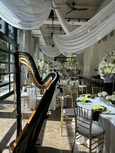 Gallery photo 10 of Harpist Lisa