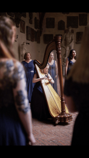 Gallery photo 3 of LeAndra Douds - Harpist