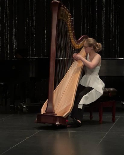Gallery photo 5 of LeAndra Douds - Harpist