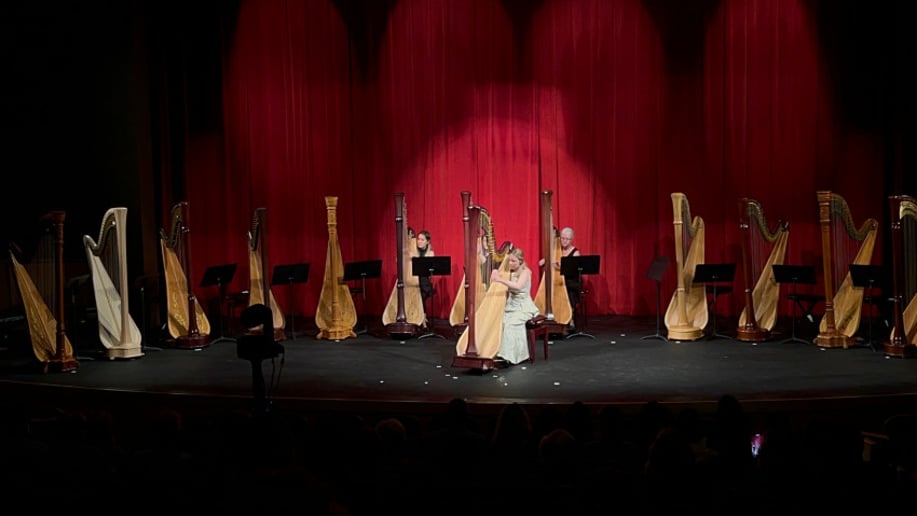 Gallery photo 2 of LeAndra Douds - Harpist