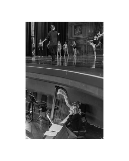 Gallery photo 1 of LeAndra Douds - Harpist