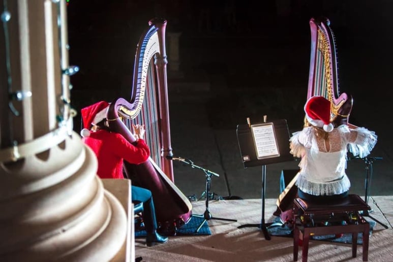 Gallery photo 7 of LeAndra Douds - Harpist