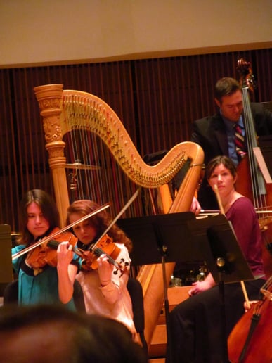 Gallery photo 8 of Harpist Meg