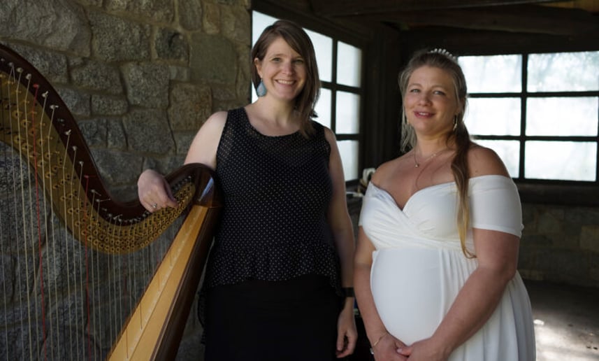 Gallery photo 3 of Harpist, Monica Schley
