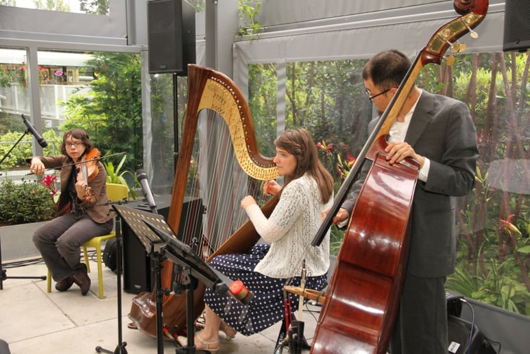 Gallery photo 4 of Harpist, Monica Schley